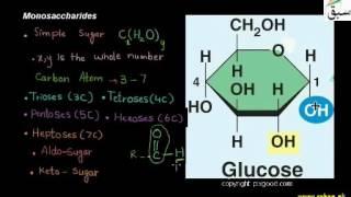 Monosaccharides, Biology Lecture | Sabaq.pk