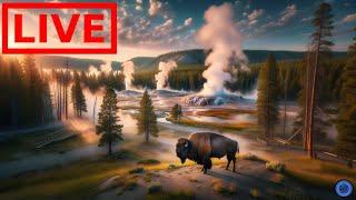  LIVE Yellowstone National Park | Old Faithful | Relaxing Music