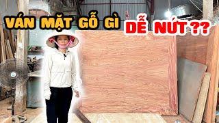 Bóc trần bí mật VÁN MẶT sập ngồi và sập Bàn thờ GỖ HƯƠNG ĐÁ hay GỖ GỤ dễ Nứt hơn