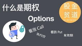 什么是期权？看涨期权call option和看跌期权Put option