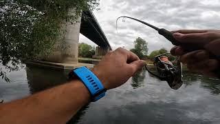 Ultra light fishing on river Sava - Asp & Chub (bolen i klen)