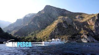 INPESCA | Vlog Ferragosto 2020 a Marina di Camerota  