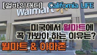 [얼바인대디] 미국에서 월마트를 꼭 들리는 이유는? _ Walmart & Amazon 장보기