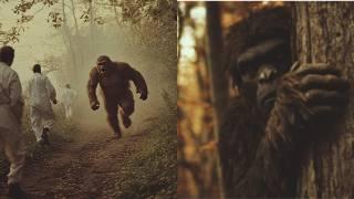 Top Ranked BIGFOOT Sightings Caught on CAMERA