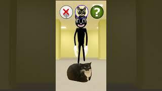 OIIAOIIA CAT Battles Cat and Spongebob!  #cat #meme #oiiaoiia