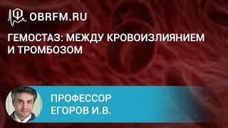 Профессор Егоров И.В.: Гемостаз: между кровоизлиянием и тромбозом