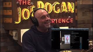 Howie Mandel and Joe Rogan talk about Proto Hologram on The Joe Rogan Experience