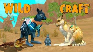 А у нас родился кенгуренок  WildCraft