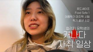 ENG 27살 유학생 첫학기 끝난 소감, 푸드세이프 Food Safe 1 | 캐나다 밴쿠버 유학생 브이로그