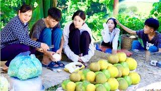 Harvesting Grapefruits to Sell at the Market: The New Life of Long and Như / Sìn nhật