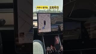 (테슬라 | 모델3) 아무나 다 가능한 자동주차! #테슬라 #모델3 #자동주차 #오토파크 #autopark