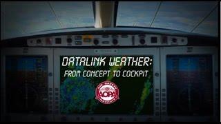 Datalink Weather: From Concept to Cockpit