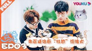 【汪喵物语】EP03：朱正廷治愈“社恐”流浪犬，萌猫减肥上演纯素吃播！！| 朱正廷/张雨剑/边江/北辰/张思王之/邱邱/白雪岑/乔诗语/弋 凡/张磊 | YOUKU SHOW | 优酷综艺