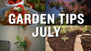 July Garden Tips and Projects: P. Allen Smith (2019)