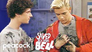 Saved by the Bell | Oil Spill