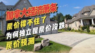 加拿大经济很糟糕，房价撑不住了，独立屋价格为什么没怎么跌？现在的房价和90年代降息时很像，房价预测，未来房价要看这几个数据