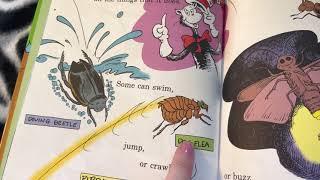 On Beyond Bugs!: All About Insects