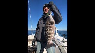 Blackfish (Tautog) Jigging with 2 Beginners - Unexpected Results