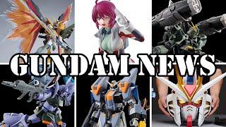 Seed Gunpla Survey, MG Destiny Heine, RG Blast Impulse, Next G Metal Build?, And More [Gundam News]