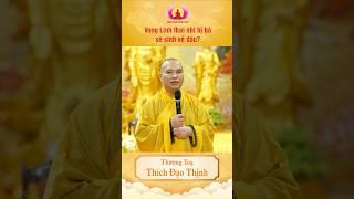 Vong linh Thai nhi sau khi bị nạo phá sẽ sinh về đâu? - Thầy Thích Đạo Thịnh #shorts