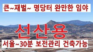 1억 여주임야 보전관리 알집명당 건축가 100%개발가능 완만한 싼임야 편안한~전원생활 숲6차산업 숲가치35억원 탄소권311만원 땅과함께(새희망을)경매임야 공매임야 나도땅주인