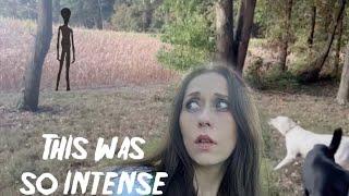 MY TERRIFYING CORNFIELD MOMENTS