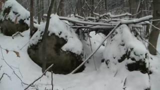 Kraftort Opfersteine im Wienerwald - Österreich