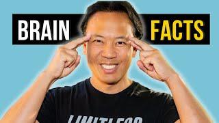 Interesting Brain Facts & Studies | Jim Kwik