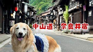 【サブスク旅長野山梨】ぺぺぺ？！デジャヴ？中山道奈良井宿へいっぺみた