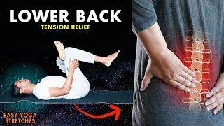 Yoga for Lower Back Pain Relief | Beginners Tension Relief Yoga Stretches #backpain