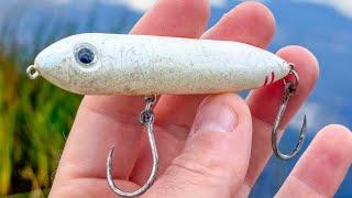 Do Speed Clips Affect Topwater Lure Presentation? Fish-Catching Proof!