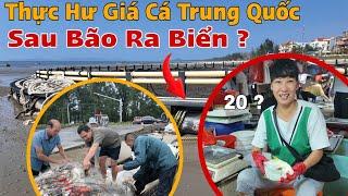 Thực Hư Giá Trị Cá Trung Quốc Sau Siêu Bão Ra Đầy Biển Vào Bờ Việt Nam