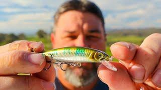 Fishing lure review;  Dr Twitch