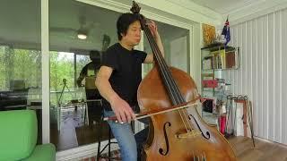 Owen Lee | Henze Bass Concerto (Concerto per Contrabbasso, demonstration of solo bass part)