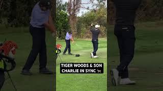 Tiger & Charlie Woods in Sync