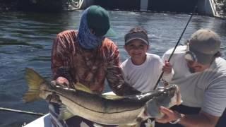 5 Year Old Catches Monster Snook