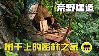 Man hollows out ancient tree and builds jungle home on trunk far from ground