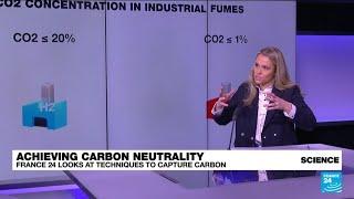 Carbon capture techniques: What are they and how do they work? • FRANCE 24 English