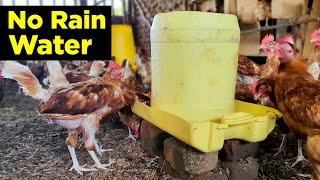 Rain Water Will RUIN Your Farm