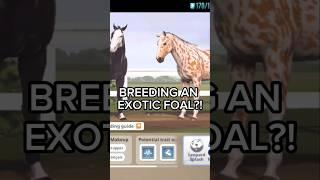 Breeding An Exotic Foal?! Rival stars horse racing | Exotic gene event #rivalstarshorseracing