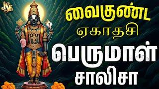 பெருமாள் சாலிசா | Lord Venkateswara Swamy Tamil Devotional Song | Venkateswara Swamy Bhakti Song