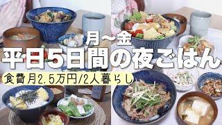 【1週間の夜ご飯】お給料日前の夜ご飯vlog簡単節約丼レシピ【2人暮らし】