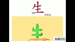 幼儿识字-生 Learning Chinese Character-grow