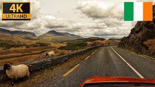 Scenic Drive in the Killarney National Park | Ireland - Ring of Kerry | 4k Ultra HD