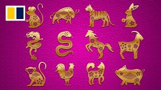 Year of the Snake predictions: How will your Chinese zodiac animal fare in 2025?