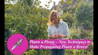 Plants a Plenty – New Techniques to Make Propagating Plants a Breeze