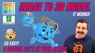 Maker World Image to 3D Model & Reduce STL Slicer Tinkercad Mind Blowing! 