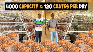 Inside a 4000 Capacity Battery Cage Poultry Farm producing 120 crates of Eggs/day in Ghana 