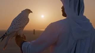 Visit Qatar | Ras Abrouq