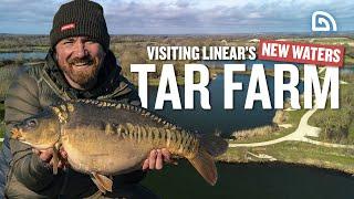 BRAND NEW 2022 Tar Farm Lakes | Linear Fisheries | Carp Fishing | Trakker